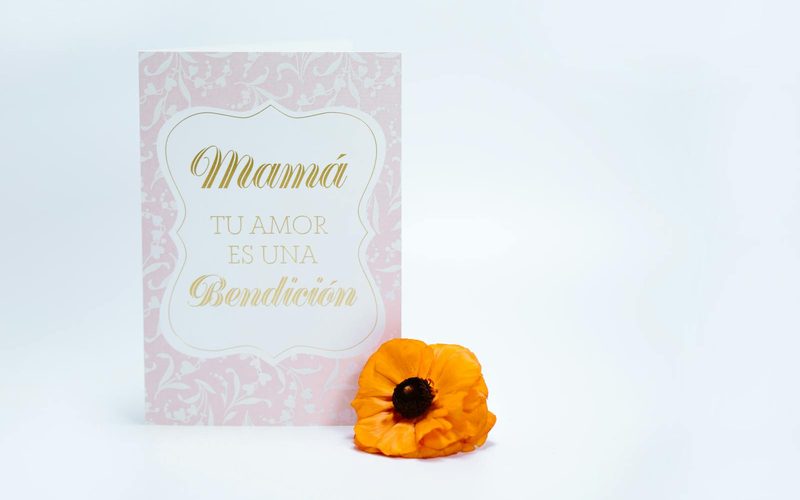 feliz dia de las madres frases
