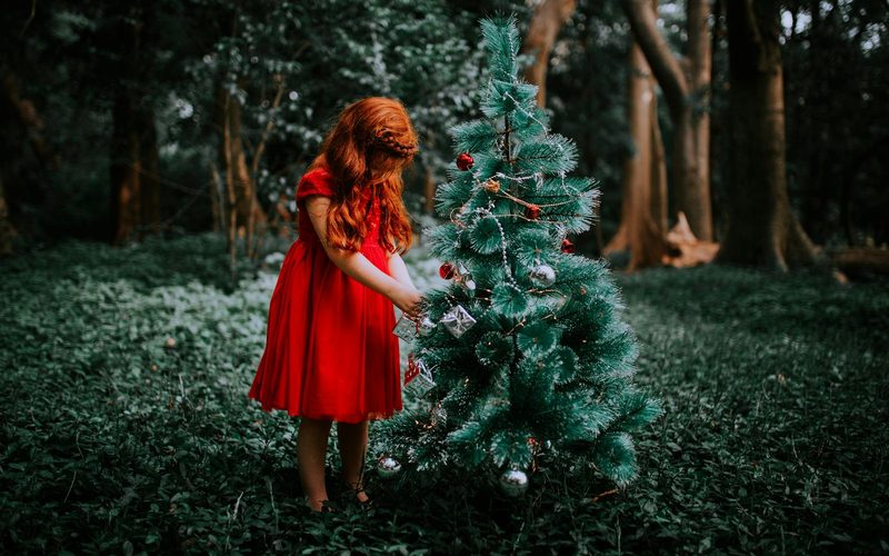 yule 2025
